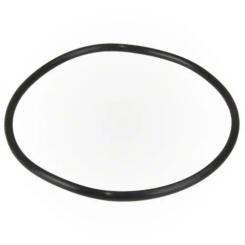 Hayward Pump Lid O-Ring Spx1500p 1