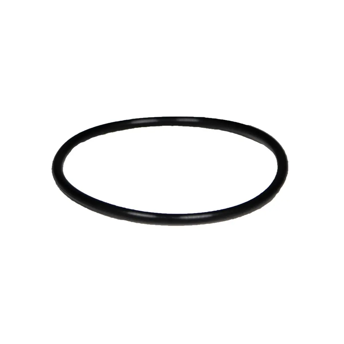 Hayward O-Ring Spx1500w 1