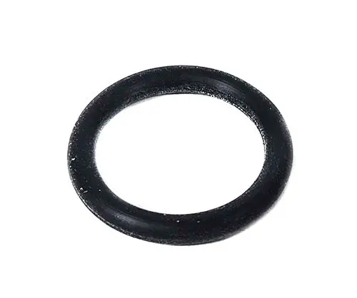 Hayward O-Ring Sx200z5 1