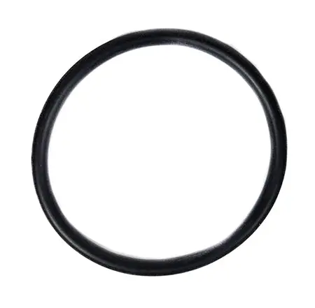 Hayward O-Ring Sx360z1 1