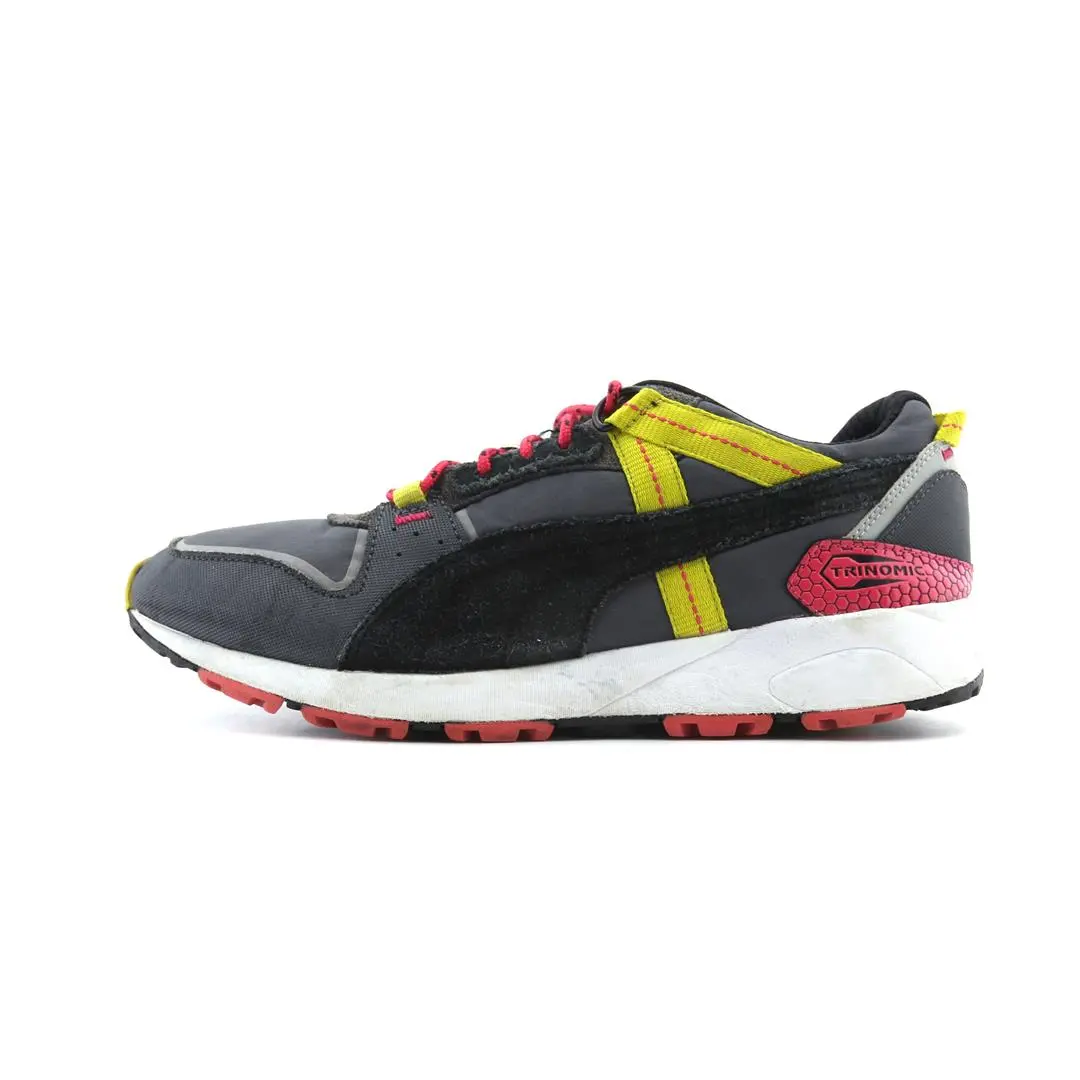 Puma Trinomic Trail Low 1