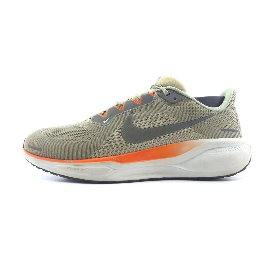 Nike Pegasus 41 1