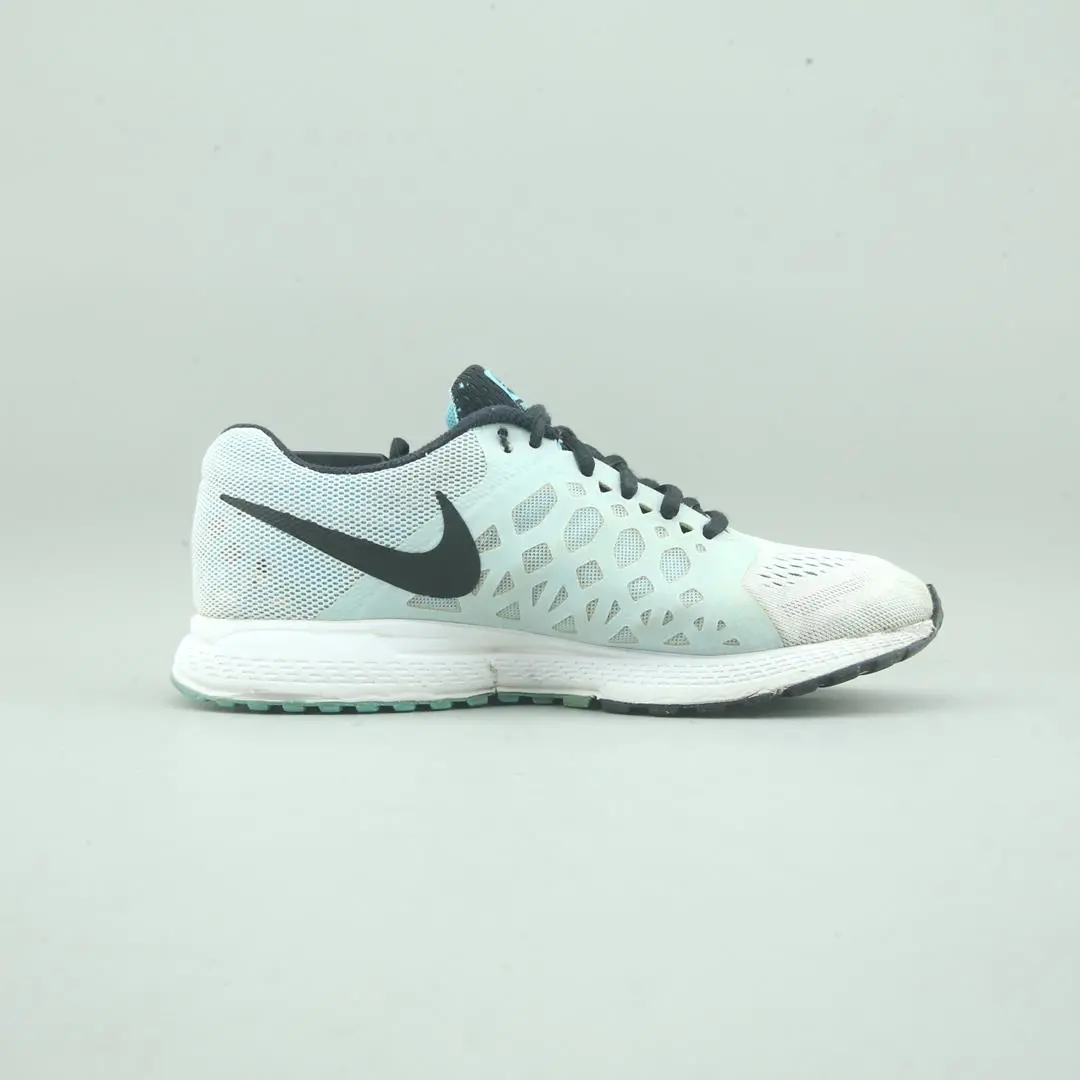 Nike Air Zoom Pegasus 31 2