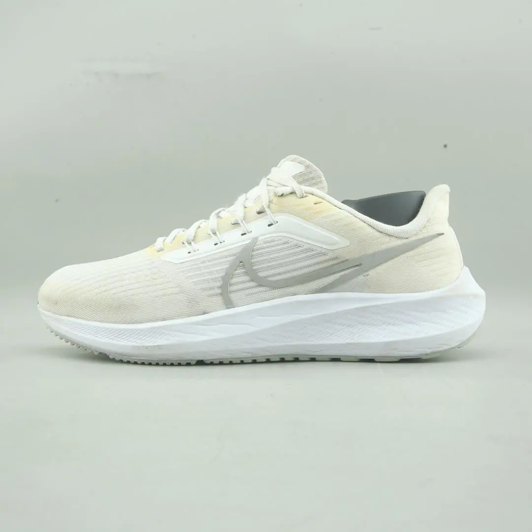 Nike Air Zoom Pegasus 39 1