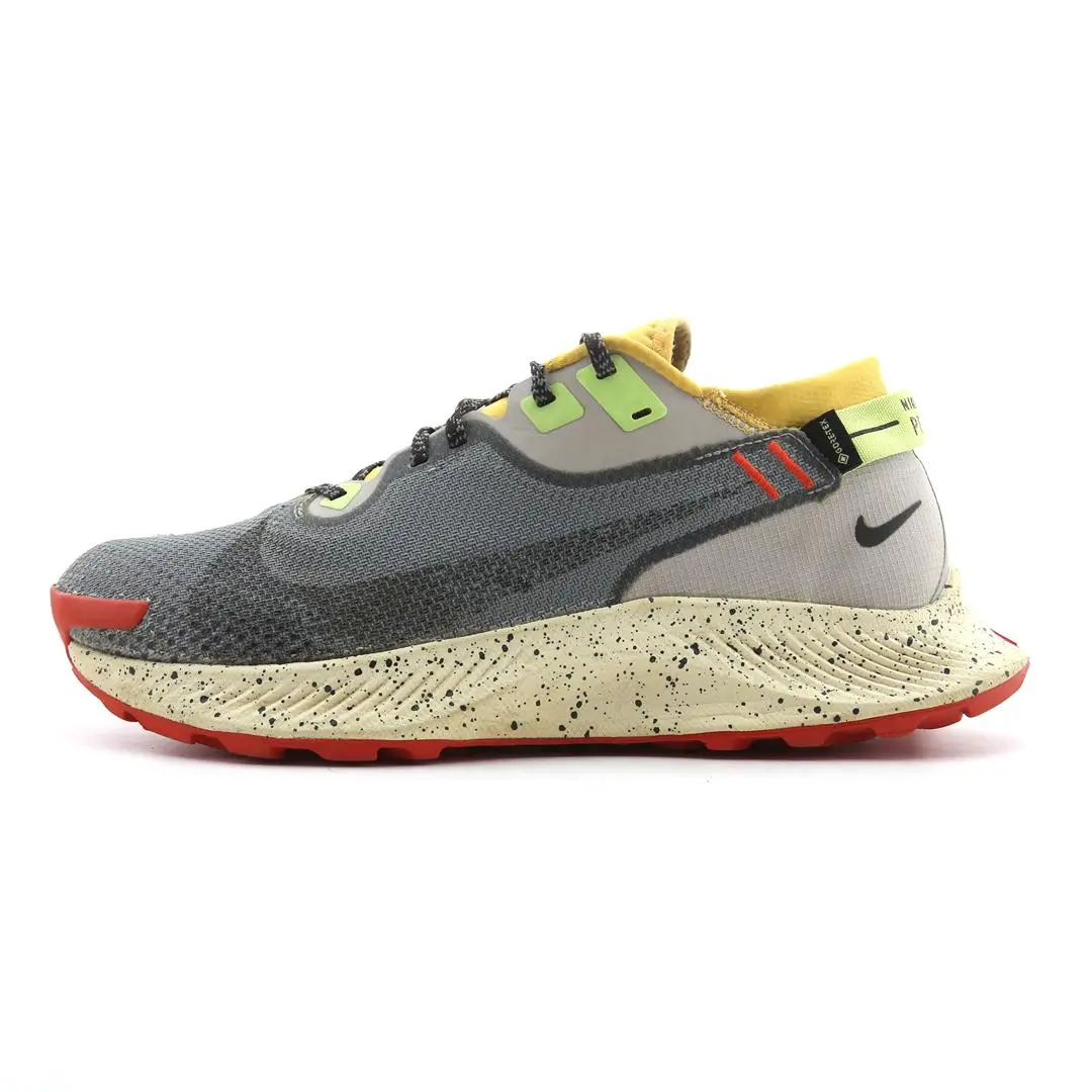 Nike Pegasus Trail 2 Gtx 1