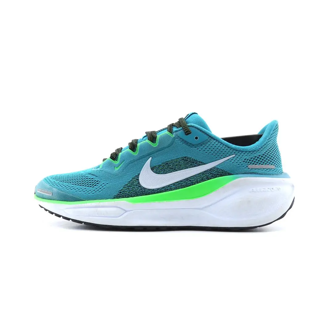 Nike  Air Zoom Pegasus 41 1
