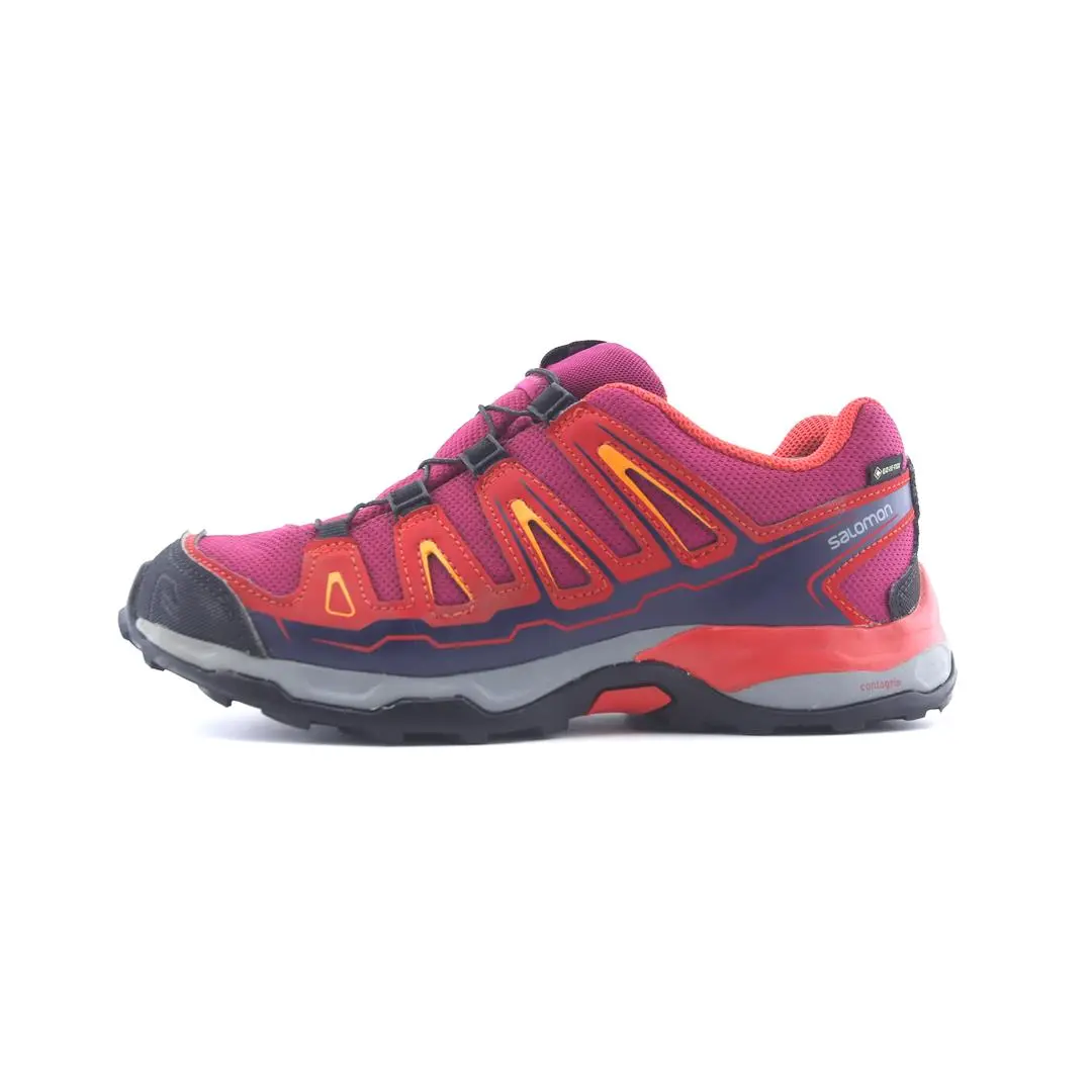 Salomon X Ultra Gtx 1
