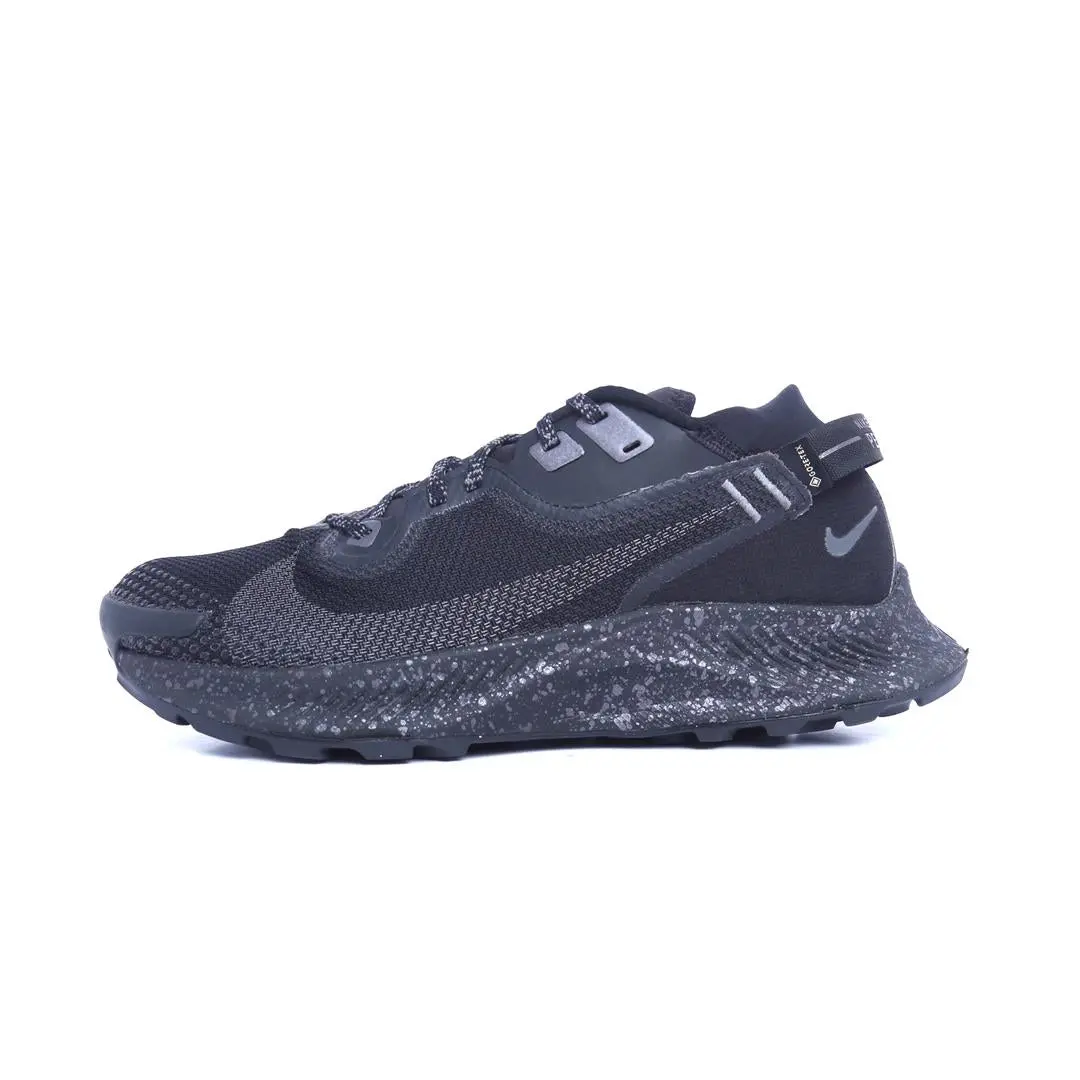 Nike Pegasus Trail 2 Gore-Tex 1