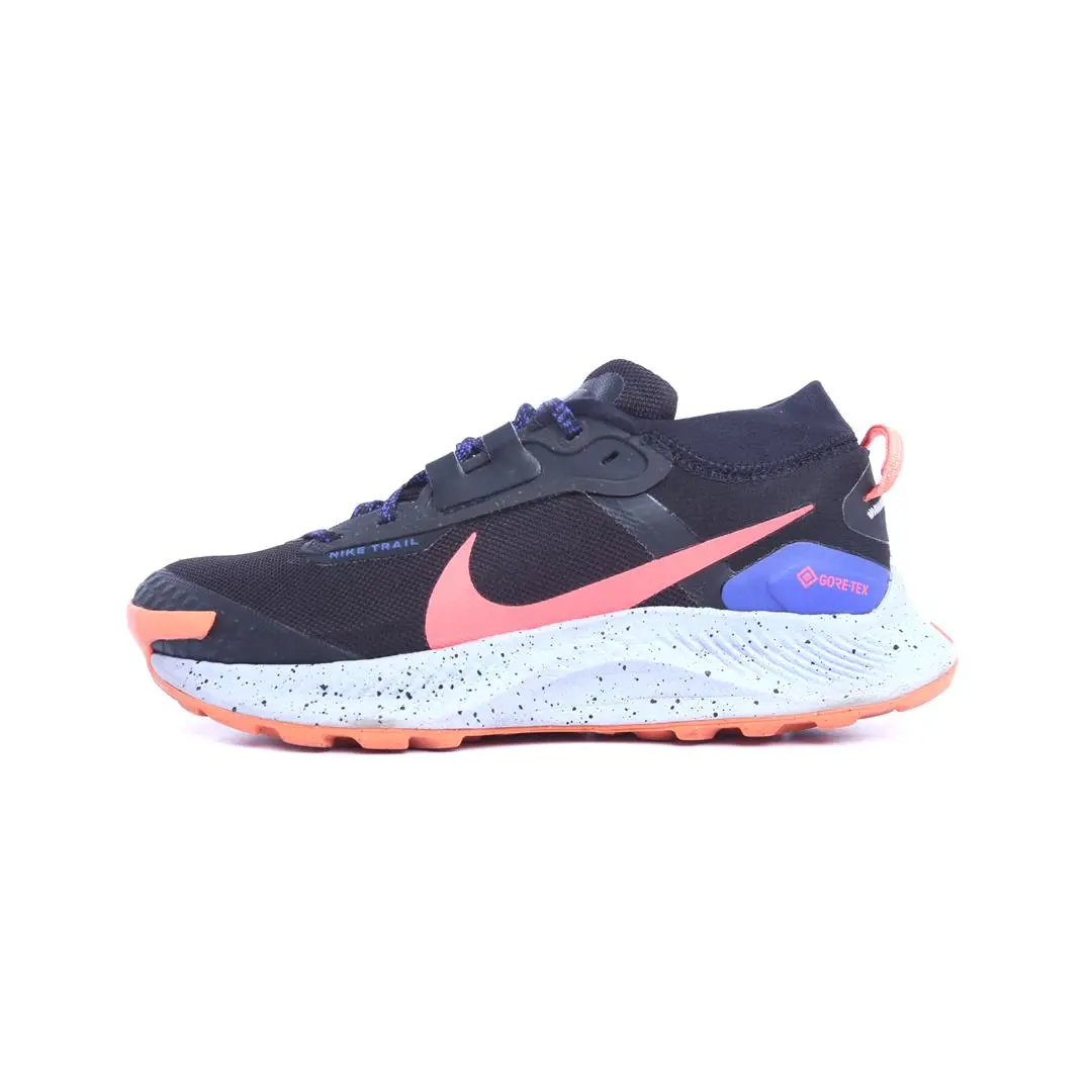 Nike Pegasus Trail 3 Gore-Tex 1