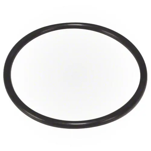 Hayward Viton O-Ring Clx110k 1