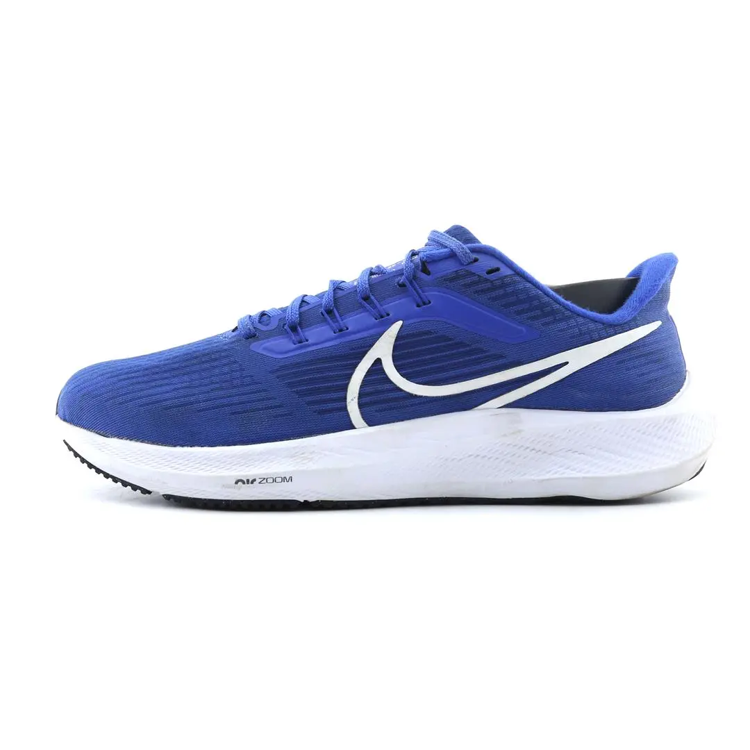 Nike Air Zoom Pegasus 39 1