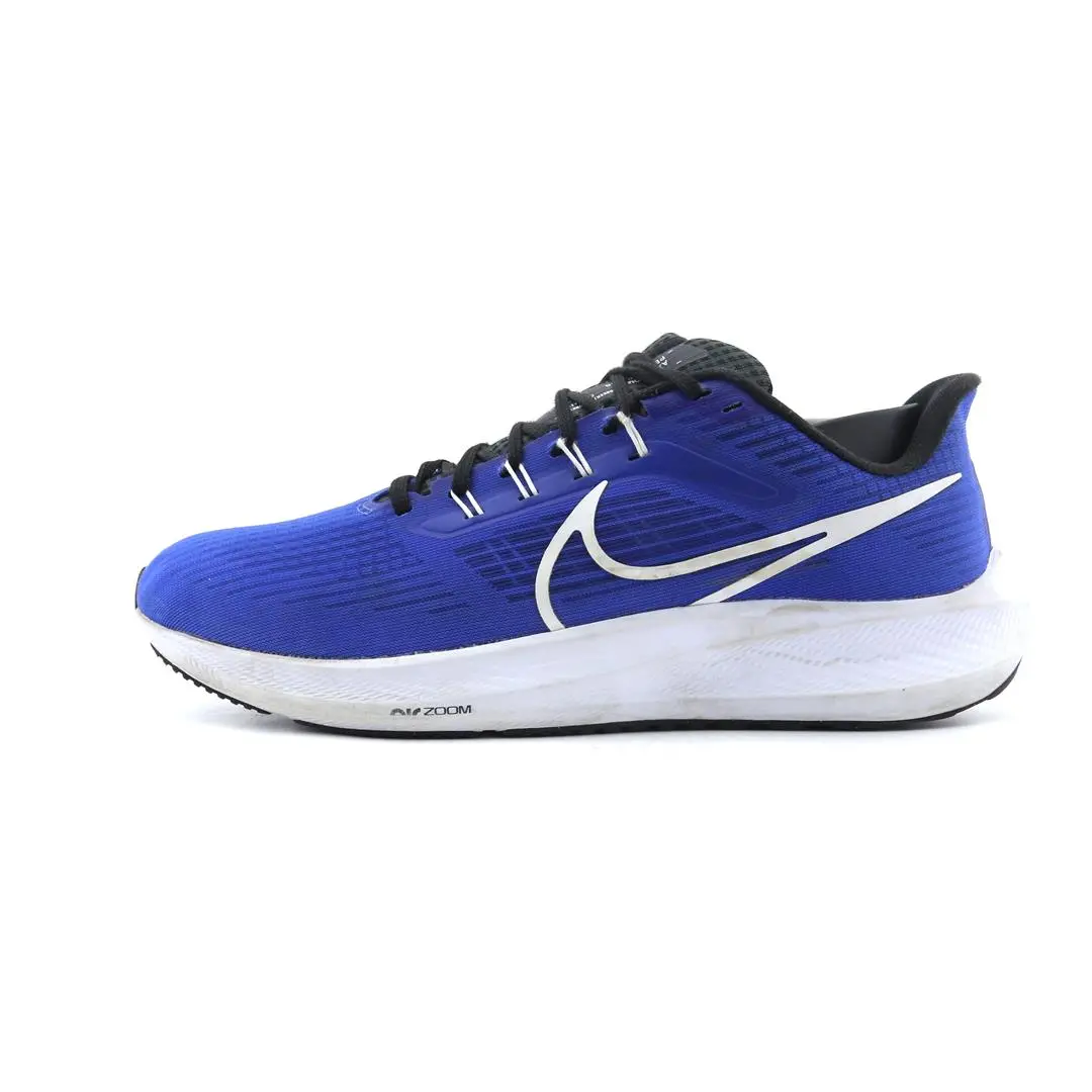 Nike Air Zoom Pegasus 39 1
