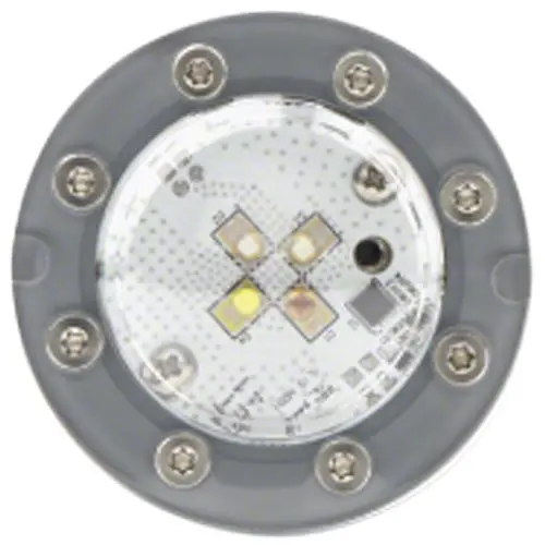 Jandy Pro Series Nicheless Watercolors Led Light Jlu4c9w100 - 9 Watt - 100 Foot Cord 1