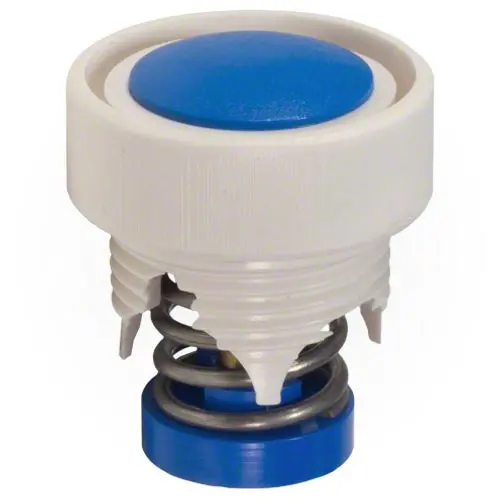 Pentair Wall Fitting - Pressure Relief Valve Lx25 1