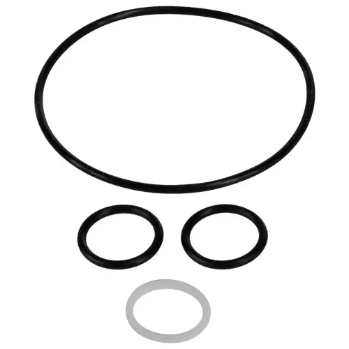 Hayward Key And Cover O-Ring Psxvz2a 1