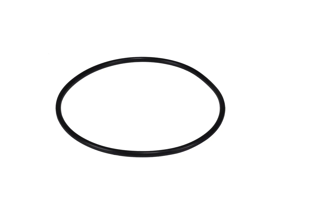Polaris Backplate O-Ring R0536600 1