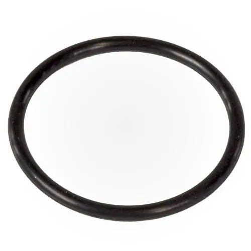Polaris 3900 O-Ring Wms Upper To Vactube Interface R0544000 1