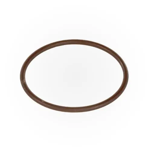 Zodiac Tri-Lobe O-Ring R0586300 1