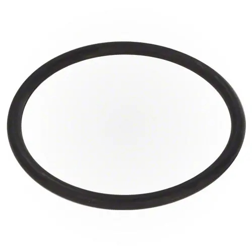 Zodiac Small Collar O-Ring R0586400 1