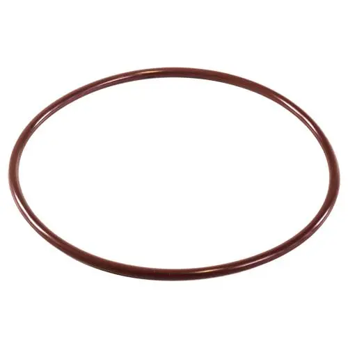 Pentair O-Ring R172240 1