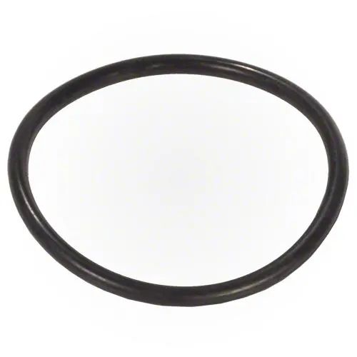 Pentair Automatic Feeder Bottom O-Ring R172319 1