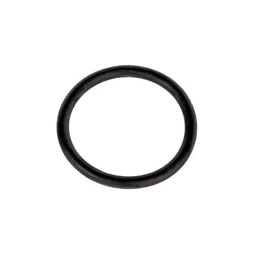 Hayward Piston O-Ring Spx0410z2 1
