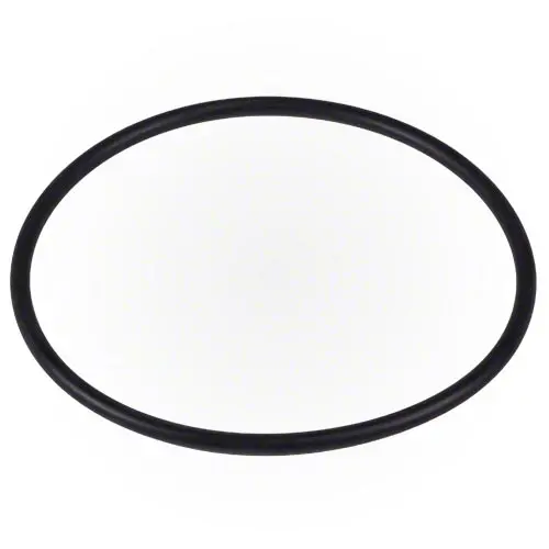Hayward Strainer Cover O-Ring Spx3000s 1