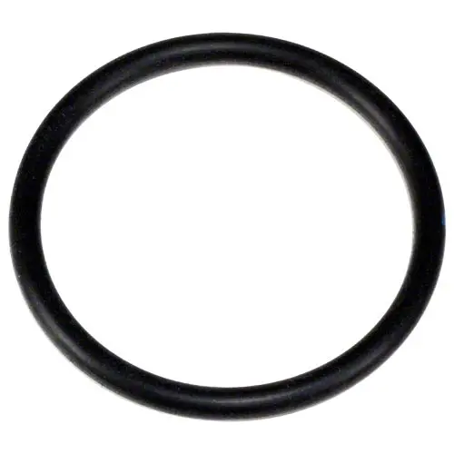 Hayward Diffiuser O-Ring Spx4000z1 1