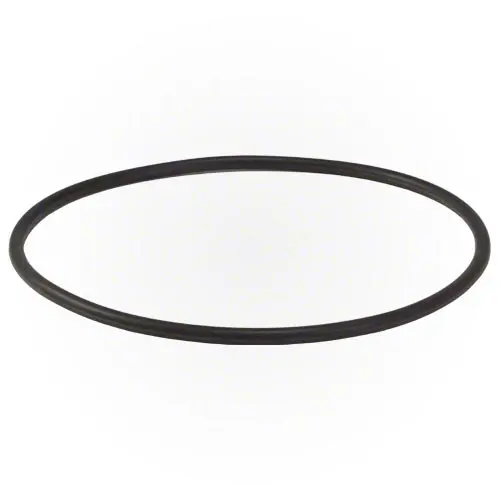 Hayward Strainer Cover O-Ring Spx5500h 1