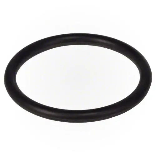 Hayward Strainer O-Ring Spx5500k 1