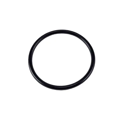 Pentair O-Ring U9-266 1