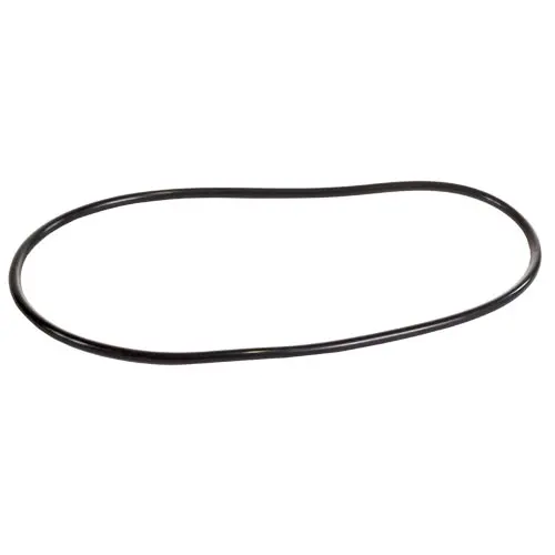 Sta-Rite O-Ring U9-228A 1