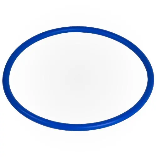 Sta-Rite O-Ring U9-229Z 1