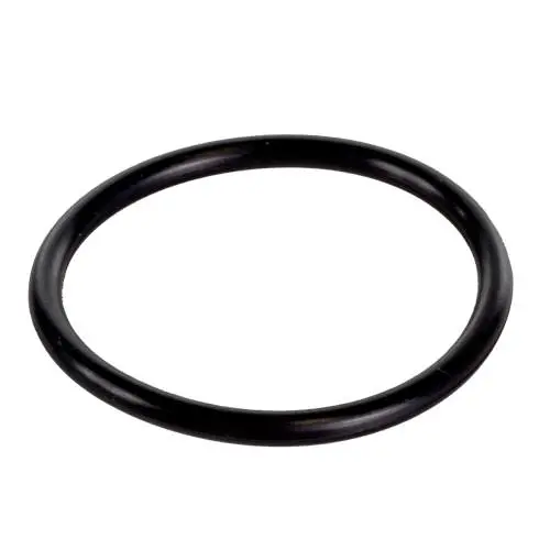 Sta-Rite O-Ring Diffuser U9-374 1