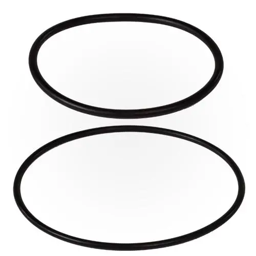 Pentair O-Ring Kit Zbr12200 1